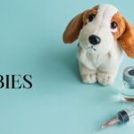 rabies vaccine