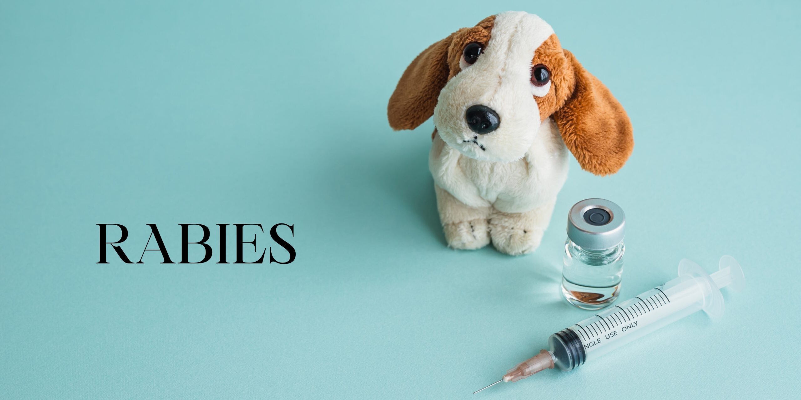 Rabies: Dogs, Cats, Humans