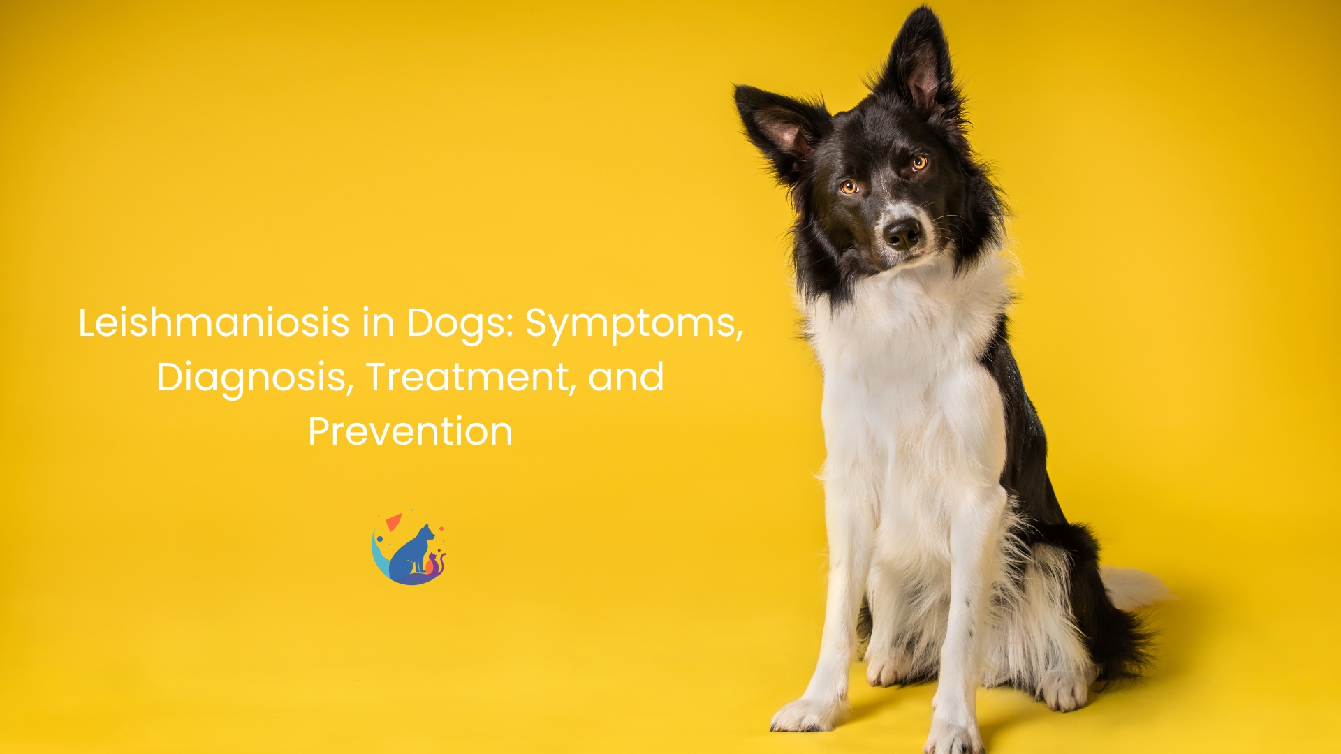 Leishmaniosis in Dogs: Symptoms, Diagnosis, Treatment, and Prevention