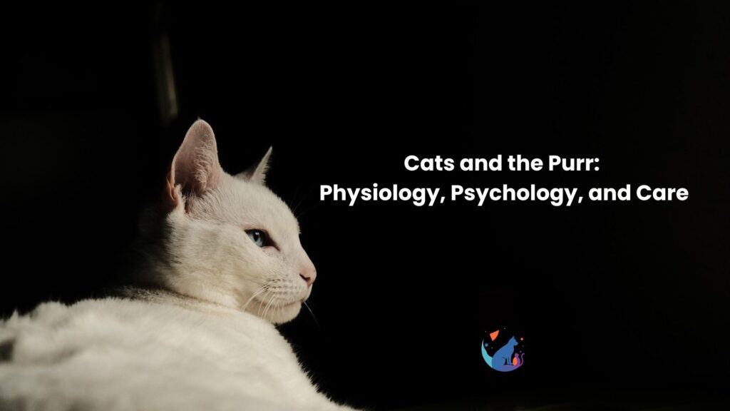 Cats and the Purr: Physiology, Psychology, and Care