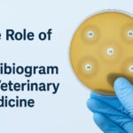 the role of the antibiogram in veterinary medicine