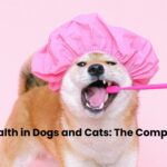 Dental Health in Dogs and Cats: The Complete Guide