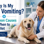 Why Is My Dog Vomiting? Causes & When to See a Vet